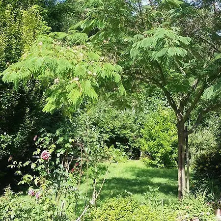Casa Disma Alojamento de Acomodação e Pequeno-almoço *