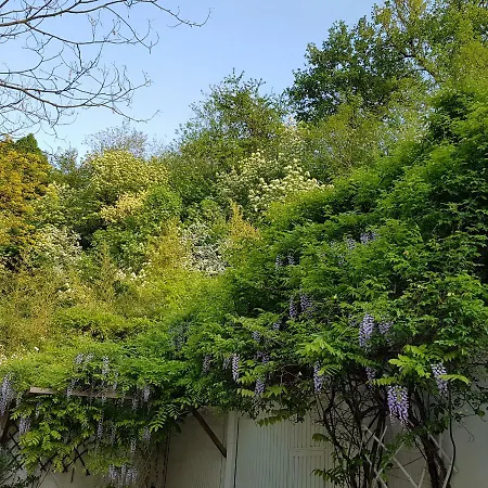 Frühstückspension Casa Disma